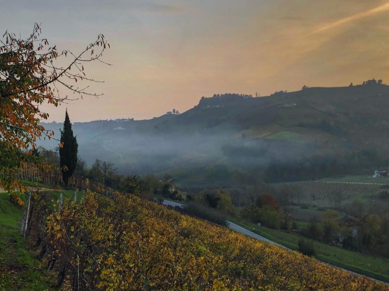 Panoramic Villa Garassino - Country Rooms And Fine Restaurant Treiso Exterior photo